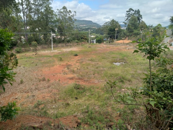 TERRENO - Foto 5