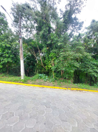 TERRENO URBANO - Foto 2