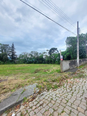 TERRENO URBANO - Foto 2