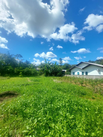 TERRENO URBANO - Foto 2