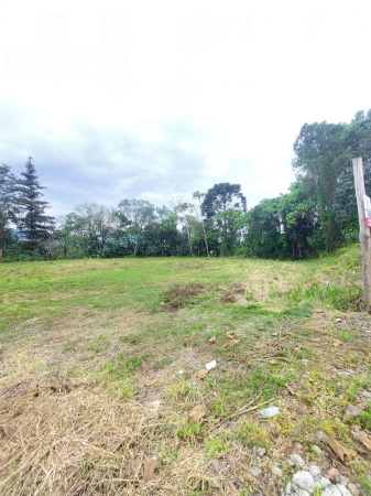 TERRENO URBANO - Foto 3