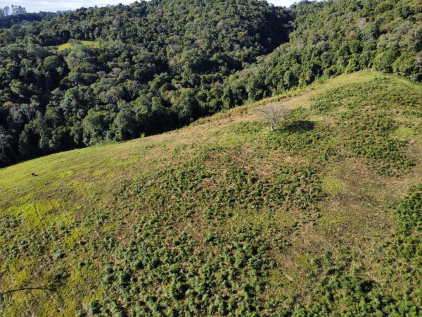 TERRENO RURAL - Foto 3