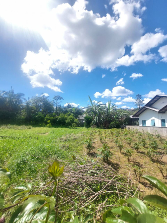 TERRENO URBANO - Foto 3