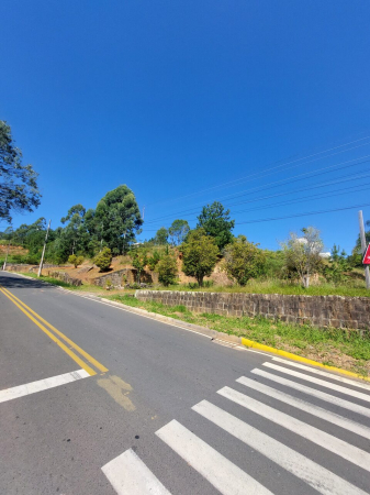 TERRENO URBANO - Foto 2