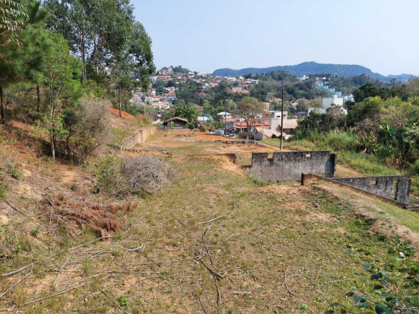 TERRENO URBANO - Foto 4