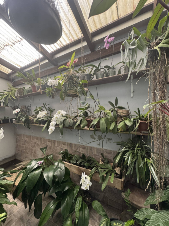 CASA DE ALVENARIA - Foto 7